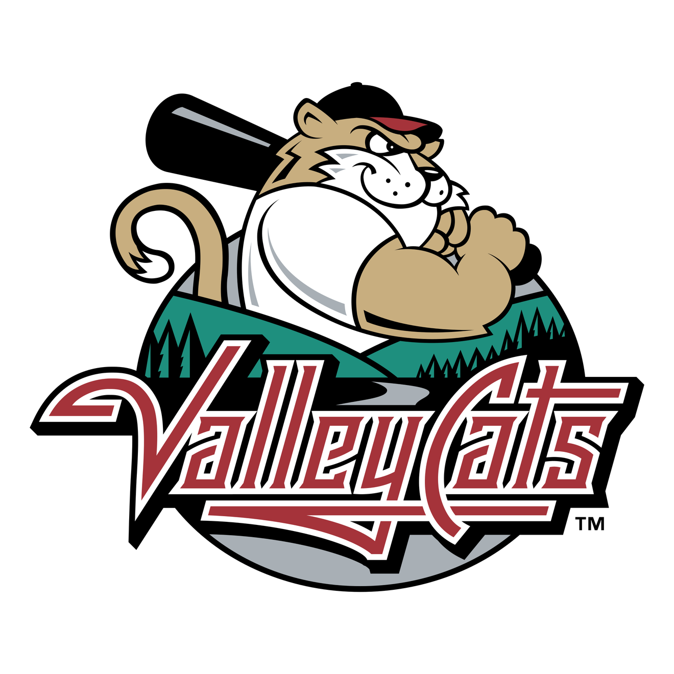 Tri City Valleycats Png (black, chocolate, white, teal, silver)