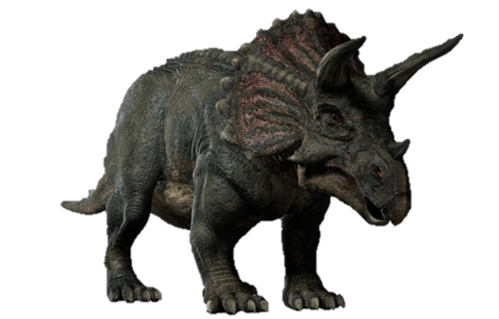 Triceratop Png Image (black, gray)