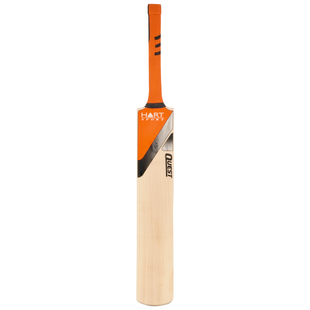 Cricket Png Isolated Image (black, pink)