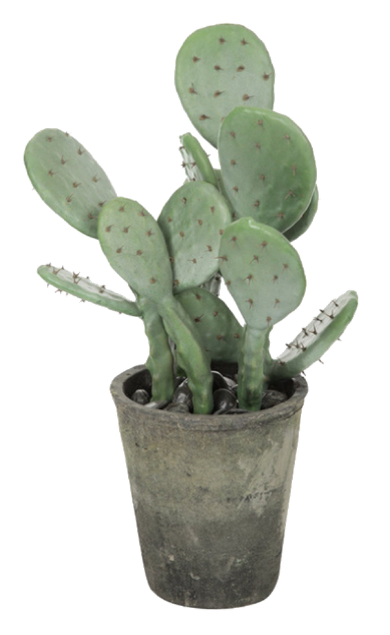 Prickly Pear Png File (gray, indigo, black)