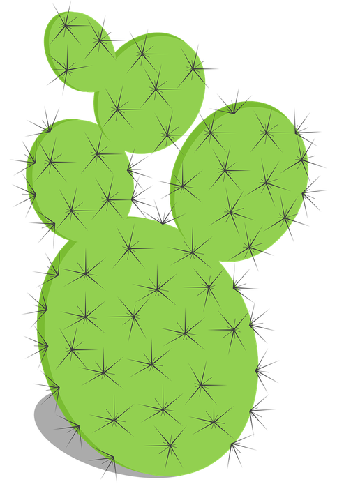 Prickly Pear Png Image (gray, black)