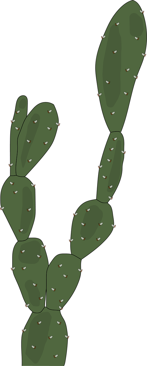 Prickly Pear Png Photo (olive, gray, black)