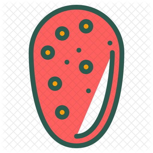 Prickly Pear Png Pic (salmon, black)