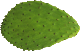 Prickly Pear Png (olive, black)