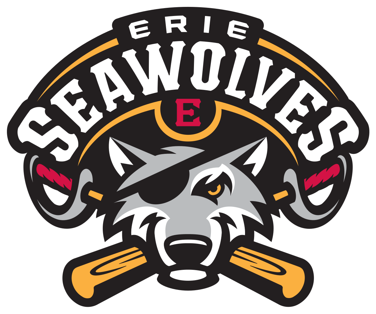 Erie Seawolves Png Photo (black, silver, white)