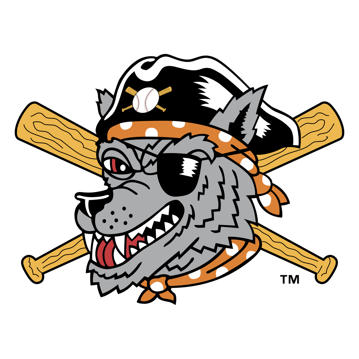 Erie Seawolves Png (black, silver, white)