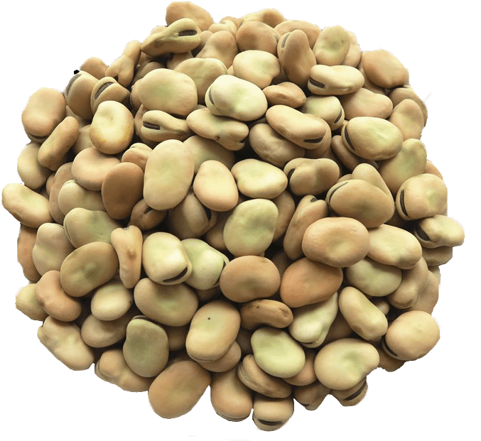 Dried Beans Png (black, maroon, olive)