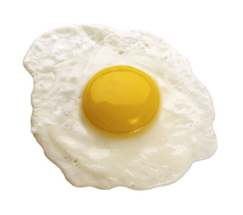 Fried Egg Transparent Background (black, beige)