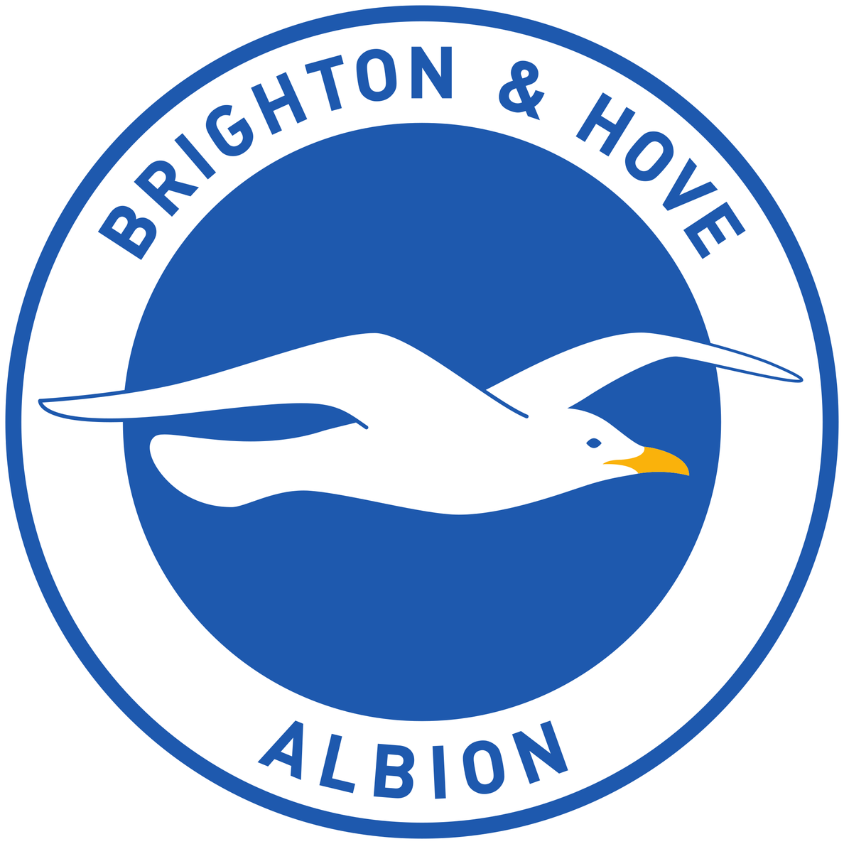 Brighton And Hove Albion Png Pic (white, black, teal)