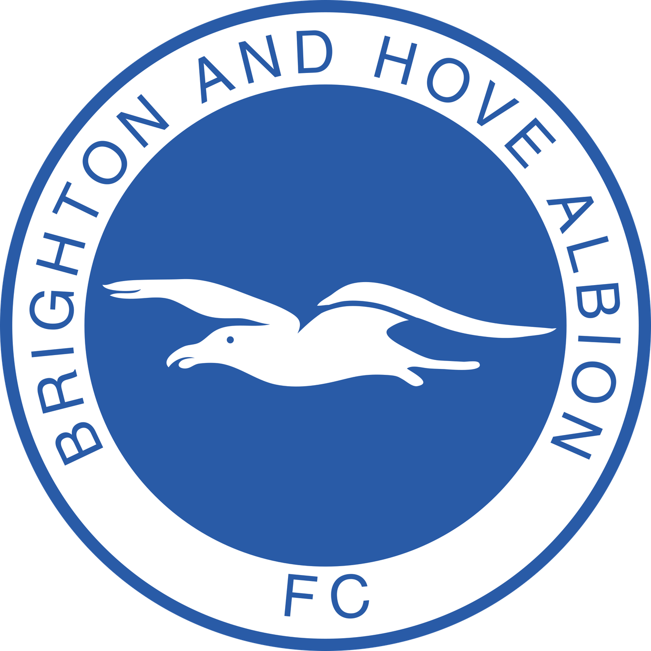 Brighton And Hove Albion Png (white, black, teal)