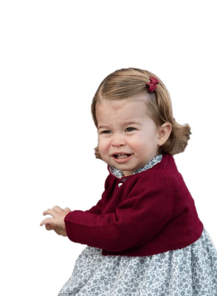 Princess Charlotte Png File (gray, black, maroon)