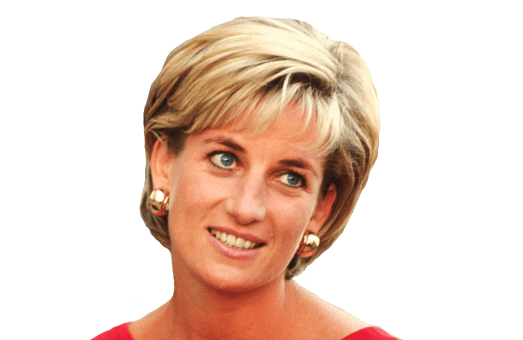 Princess Diana Png Clipart (gray)