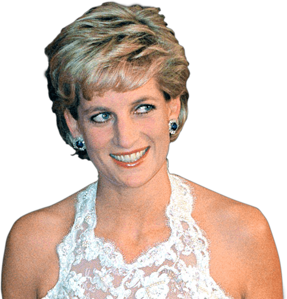 Princess Diana Png File (salmon, pink, black)