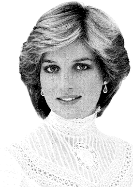 Princess Diana Png Image (gray, black)