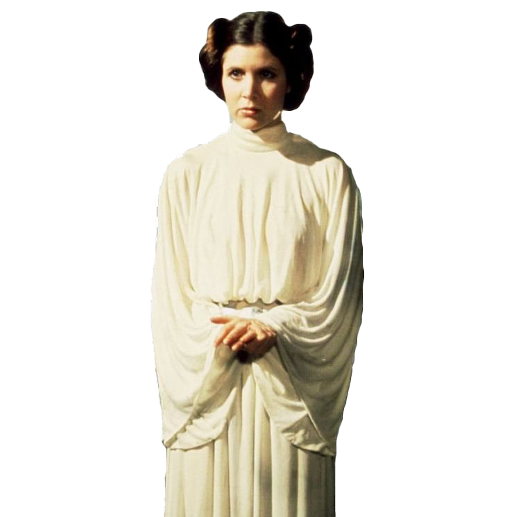 Princess Leia Download Png Image (black, beige, white)