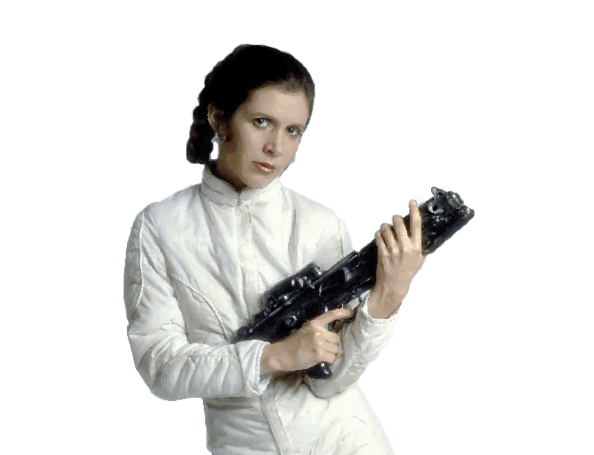 Princess Leia Png Picture (beige, black, white)