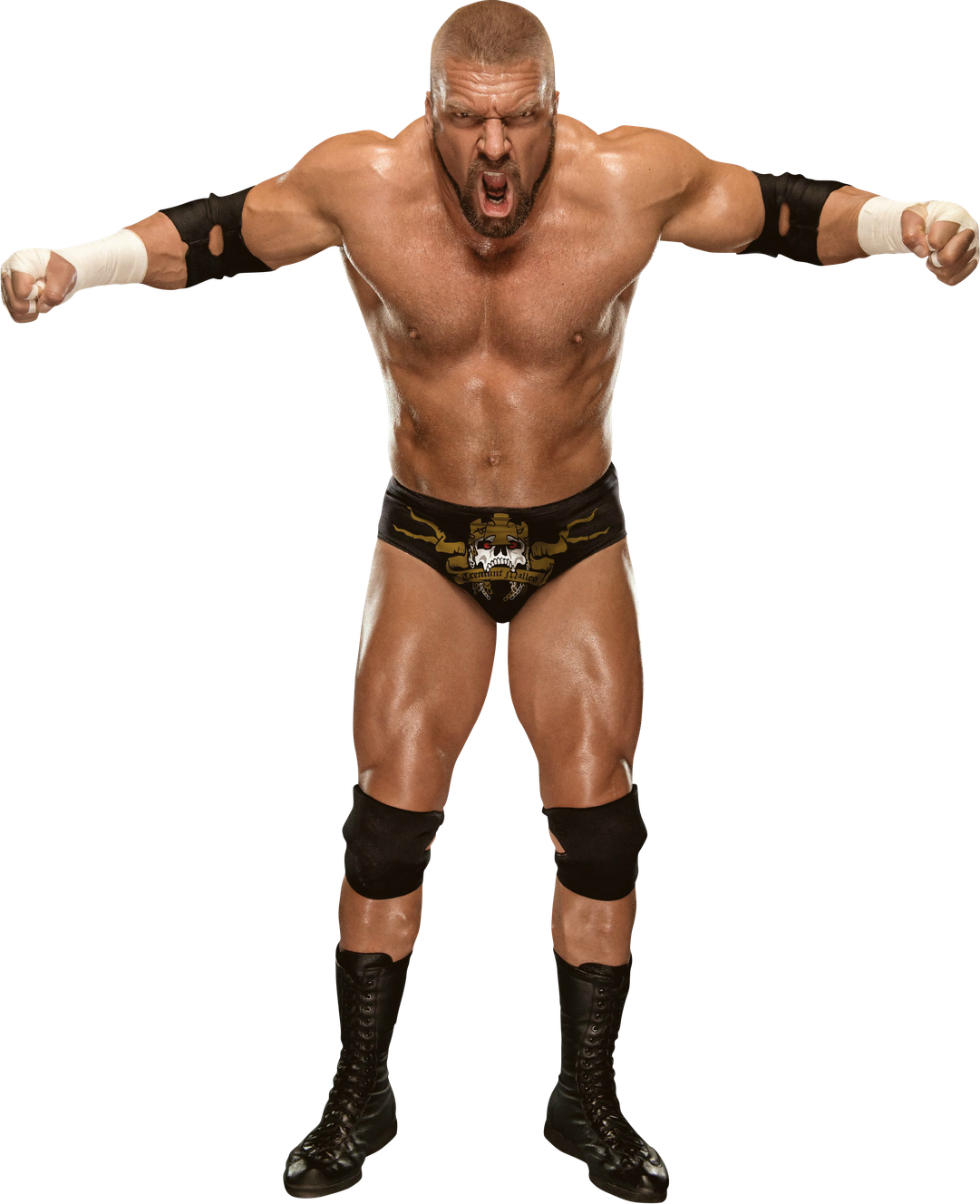 Triple H Png Transparent Image (black)