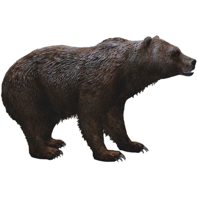 Grizzly Bear Png Hd Isolated (black)