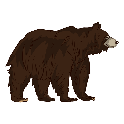 Grizzly Bear Png Isolated Photo (black)