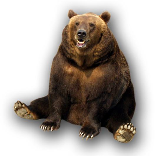 Grizzly Bear Png Photos (black)