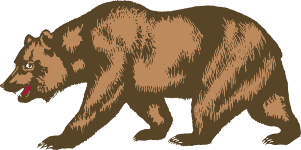 Grizzly Bear Png Transparent (black, olive, salmon)