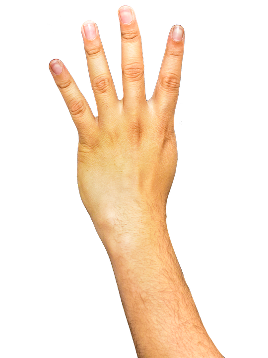 Arm Transparent Background (pink, black)