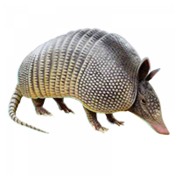 Armadillo Png File (black, gray, silver)