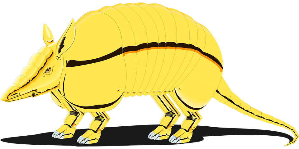 Armadillo Png Photos (black, gold)