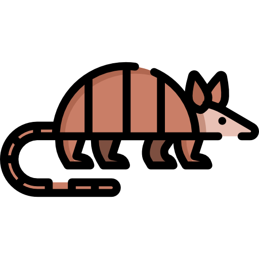 Armadillo Png Pic (white, black, silver, salmon, gray)