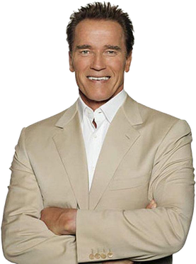 Arnold Schwarzenegger Download Png Image (black, silver)