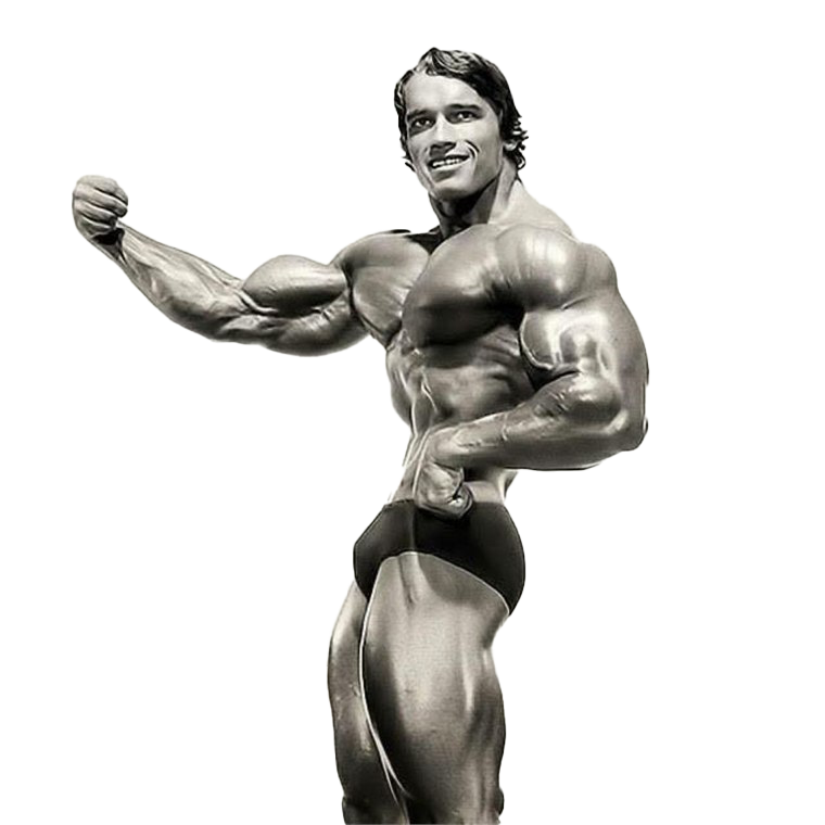 Arnold Schwarzenegger Png Isolated File (white, silver)