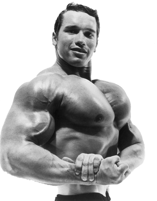 Arnold Schwarzenegger Png Isolated Pic (black, gray, silver)