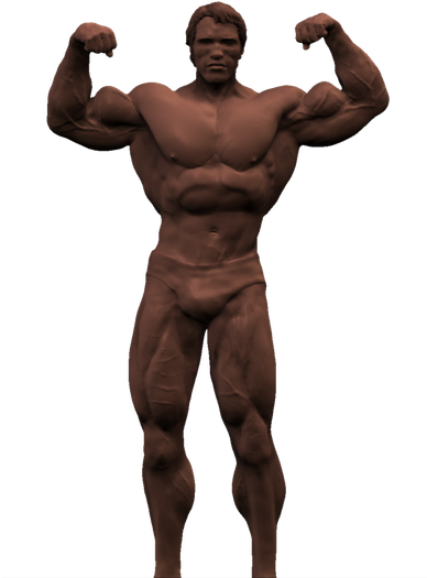 Arnold Schwarzenegger Png Pic (maroon, black)