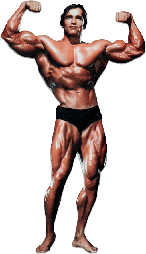 Arnold Schwarzenegger Png Transparent (black)