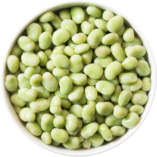 Broad Bean Png Free Download (white, black)