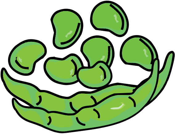 Broad Bean Png Isolated File (black, gray, olive)