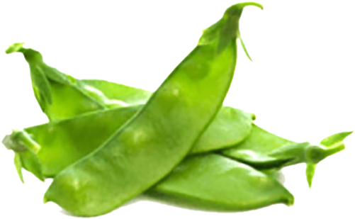 Broad Bean Png Isolated Image (black, olive)