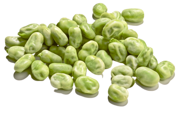 Broad Bean Png Isolated Photo (black, olive)