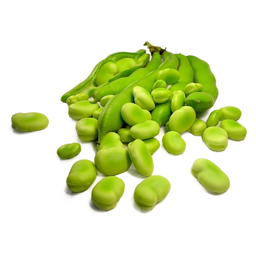 Broad Bean Png Photo (white)