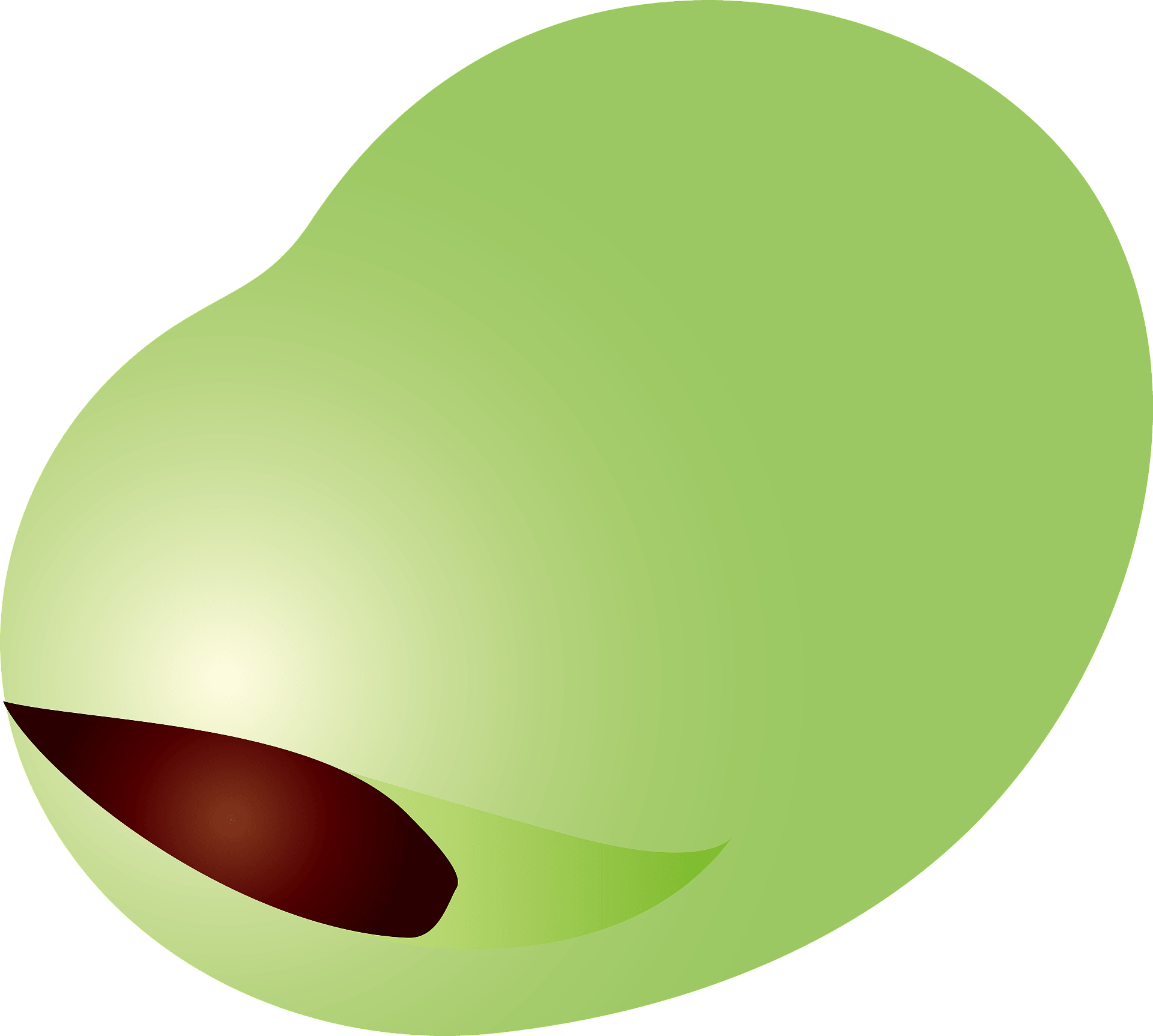 Broad Bean Png Photos (silver, gray)