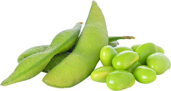 Broad Bean Png Pic (black, gray, olive)