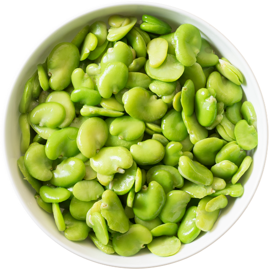 Broad Bean Png Transparent (white, black)