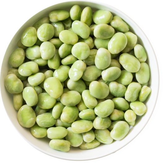 Broad Bean Png (white, black)