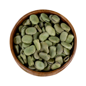 Broad Bean Transparent Png (black)