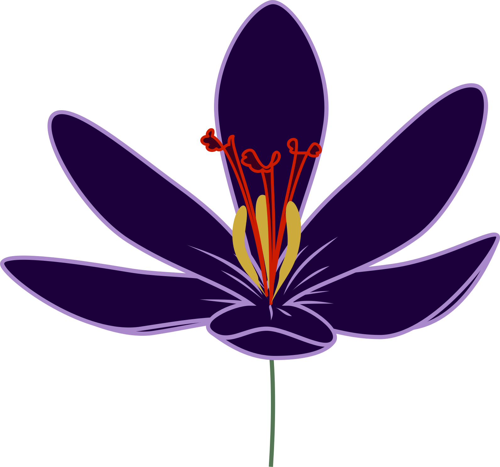 Crocus Transparent Png (black)