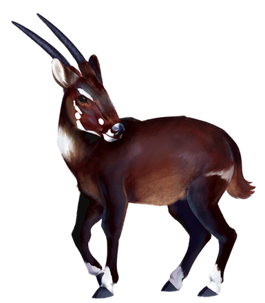 Pronghorn Download Png Image (black)