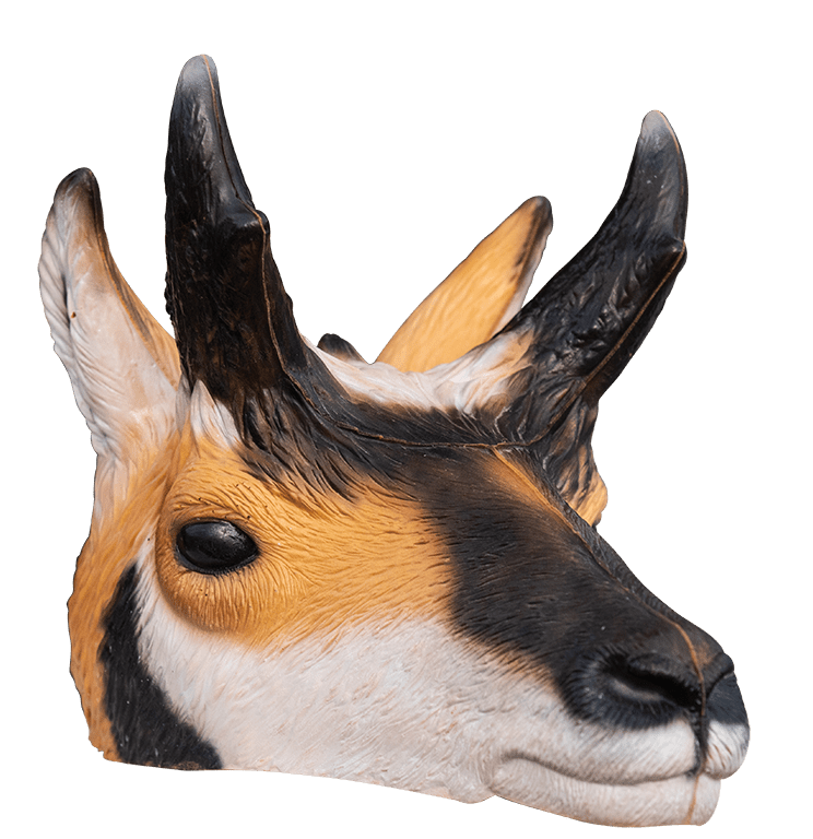 Pronghorn Png File (gray)