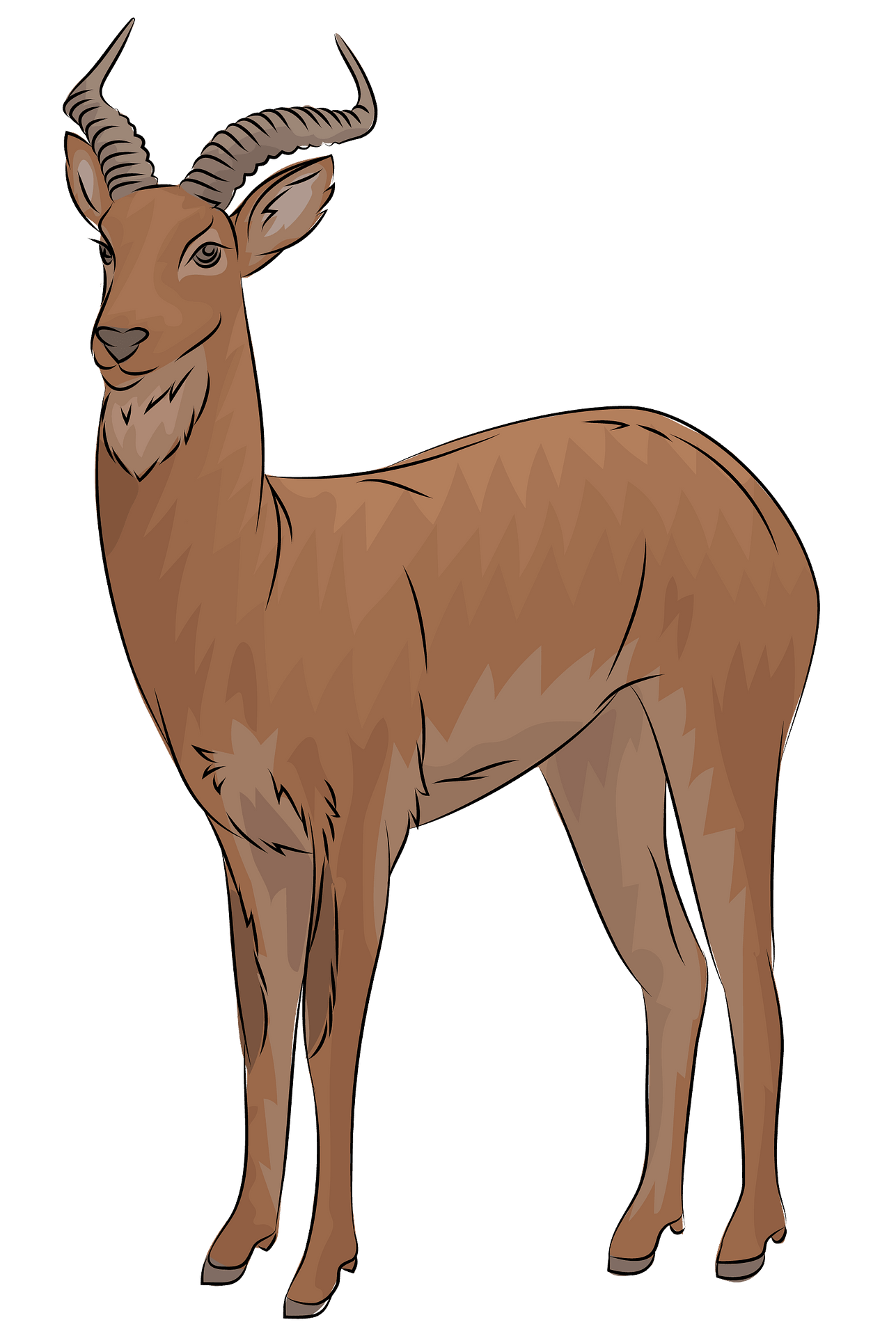 Pronghorn Png Image (gray)