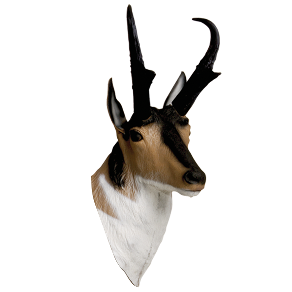 Pronghorn Png Isolated Pic (silver, black, white)