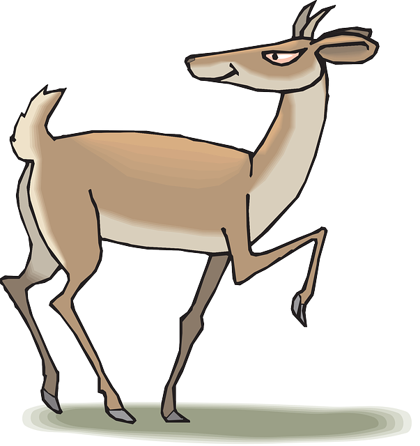 Pronghorn Png Photos (gray, salmon, silver, white)